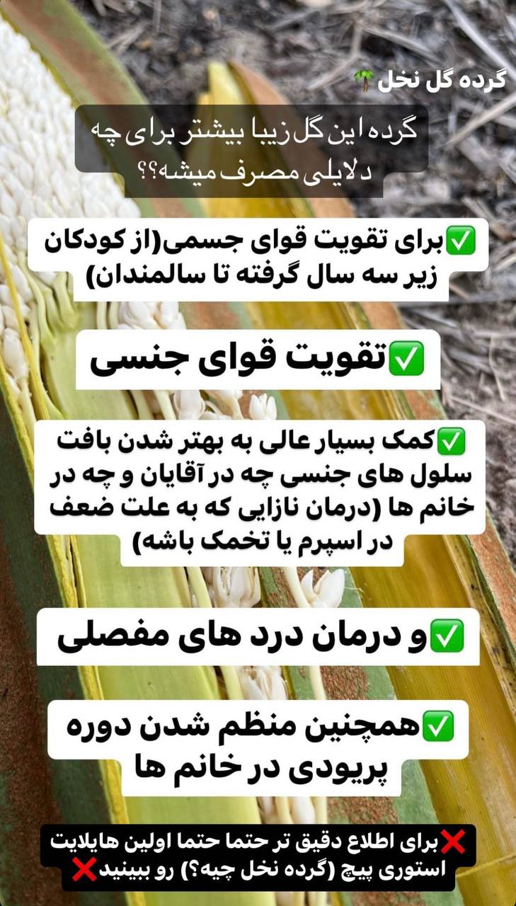 گرده نخل چیه؟؟| لیانو
