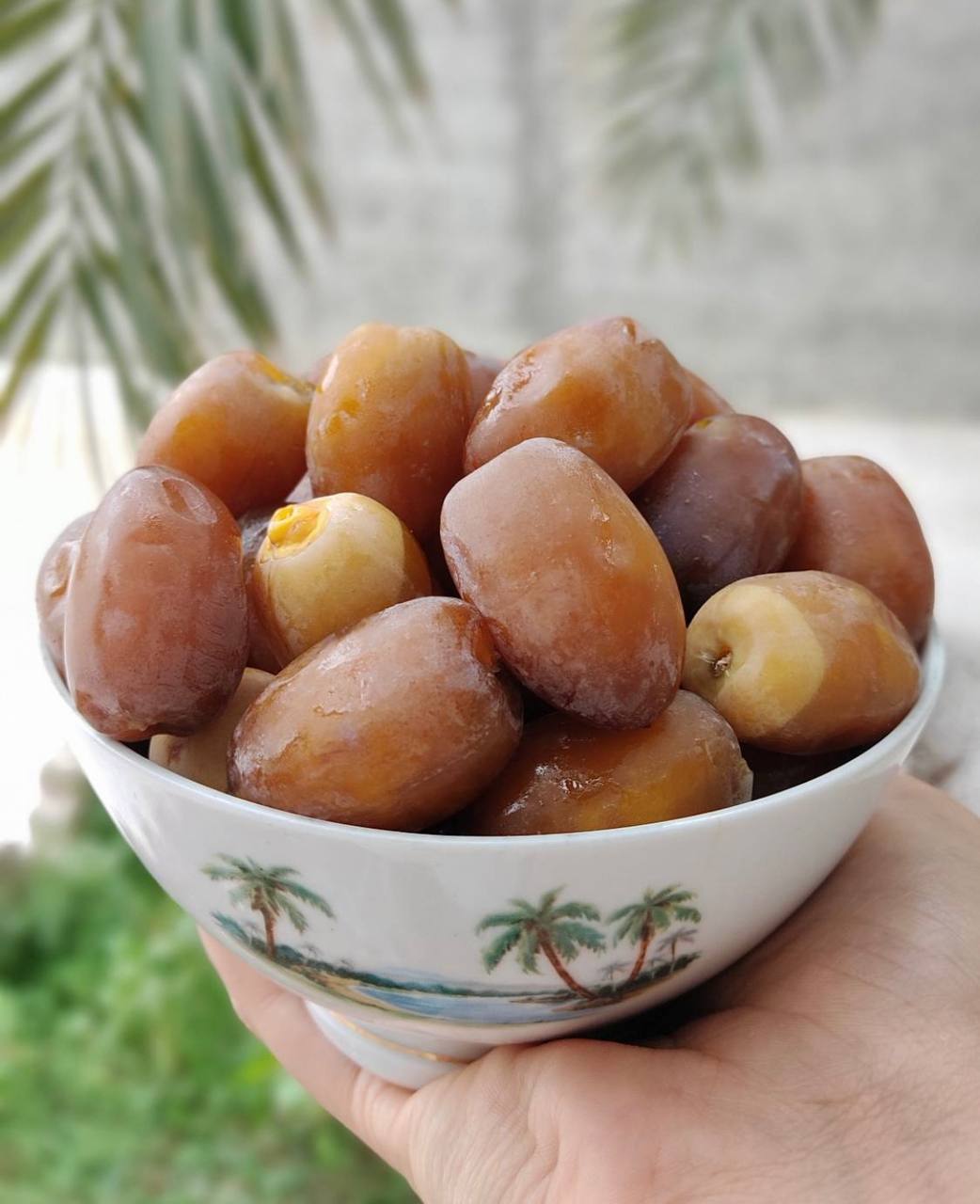رُطب(ارسال رایگان)